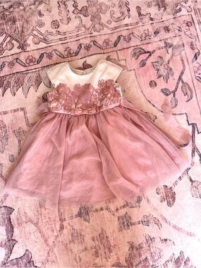 Girls Pink Floral Lace Tulle Dress